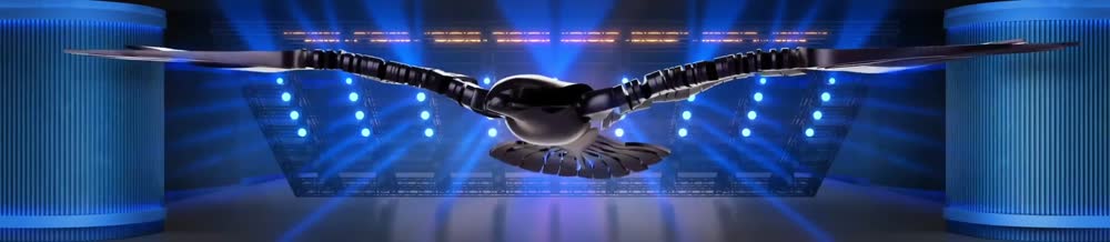 Abu Dhabi Finance Week — 2025 · Animation 7